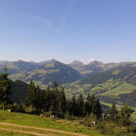 Hôtel Alpenhof à Kirchberg en Tyrol Extérieur photo