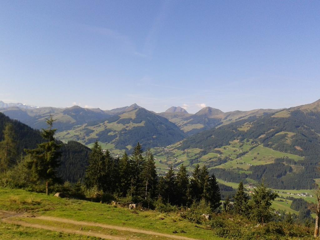 Hôtel Alpenhof à Kirchberg en Tyrol Extérieur photo